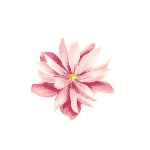 CALVIN KLEIN Four Ceramic Appetizer Salad Dessert Square Plates Floral Pink 6.5" - Picture 3 of 9